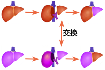 图片70.png